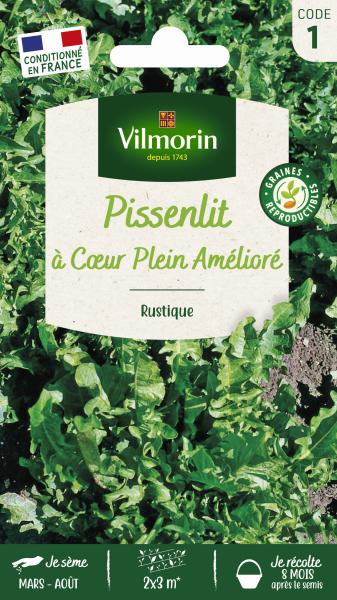 Potagères - Pissenlit à Cœur Plein Amélioré - PACKAGING_RECTO